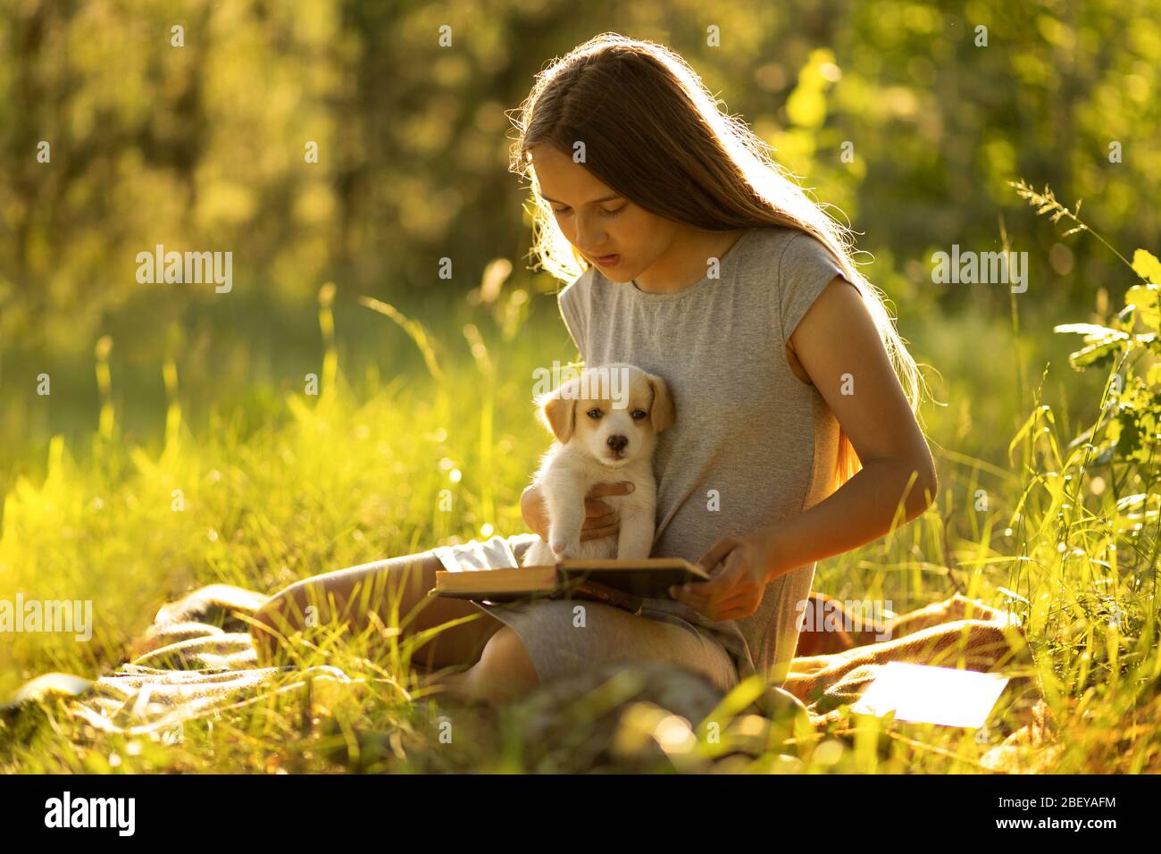 A girl sitting near a tree and reading a book, holding a labrador puppy.  Stock Photo