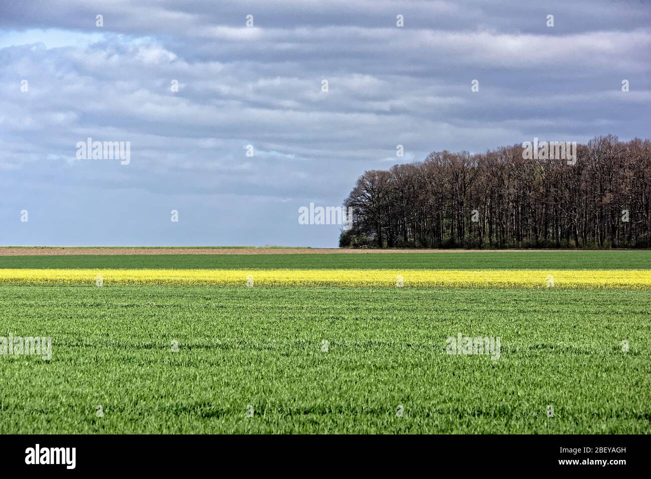 Buntenbocker Teiche ,Oberharzer Wasserregal.April.2020 Stock Photo Alamy