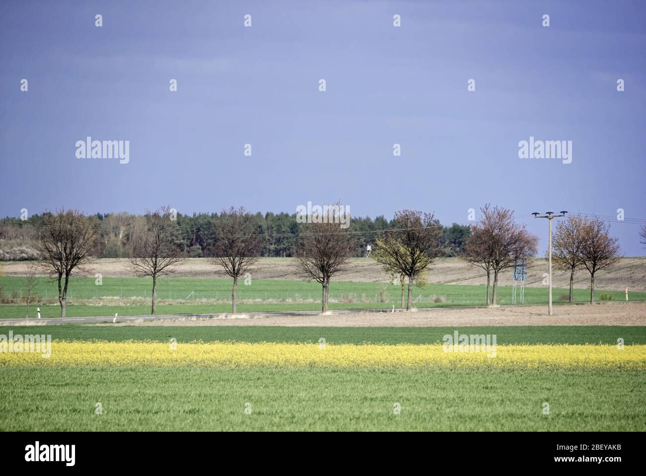 Buntenbocker Teiche ,Oberharzer Wasserregal.April.2020 Stock Photo Alamy