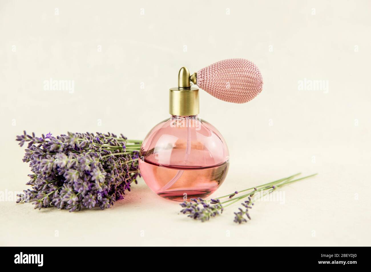 Vintage perfume bottle with lavender aroma. Lavender calming aroma scent concept on light beige background with fresh lavender bouquet. Stock Photo