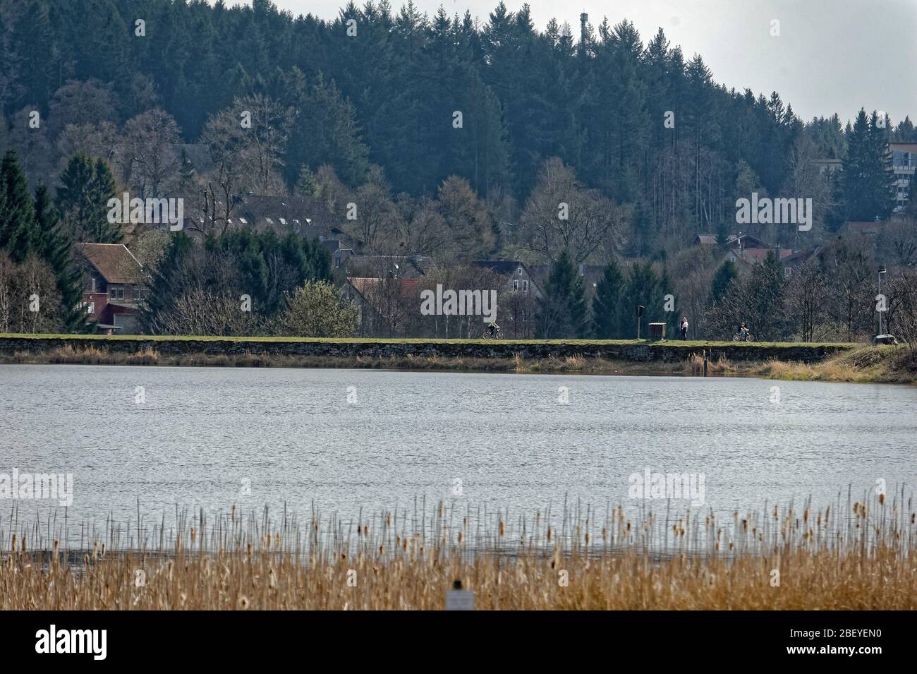 Buntenbocker Teiche,Oberharzer Wasserregal Stock Photo Alamy