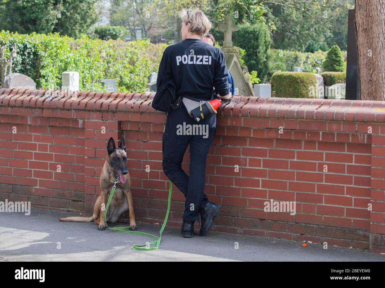 Hanover, Germany. 16th Apr, 2020. A police tracker dog is searching for clues at a cemetery in the Kirchrode district. The dead man found at the cemetery is a 28-year-old from Bielefeld. The man had been reported missing since last week Tuesday, the police said. After the autopsy, investigators continue to assume that the man was the victim of a violent crime. Now a murder squad is investigating. Credit: Julian Stratenschulte/dpa/Alamy Live News Stock Photo