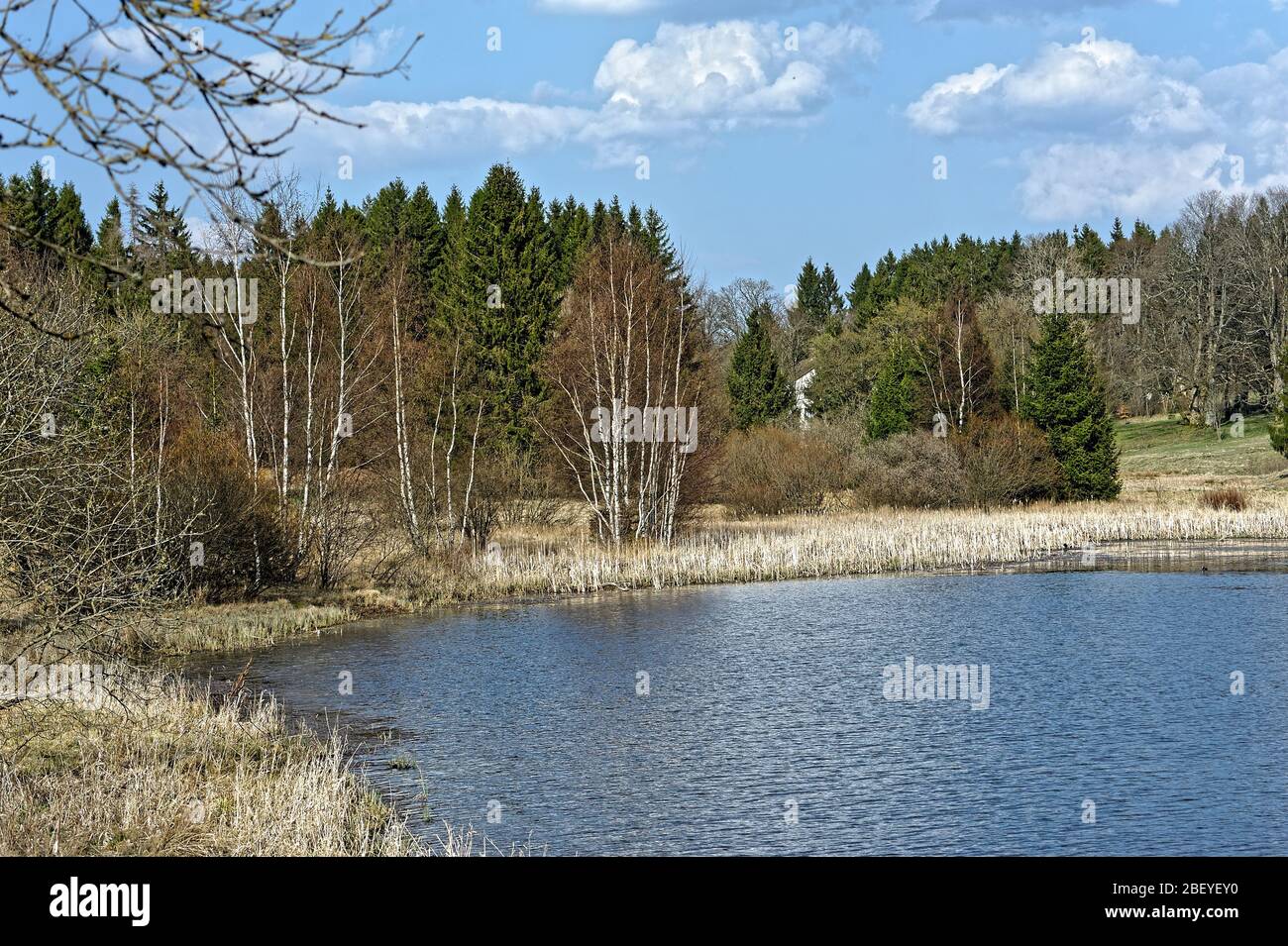 Buntenbocker Teiche,Oberharzer Wasserregal Stock Photo Alamy