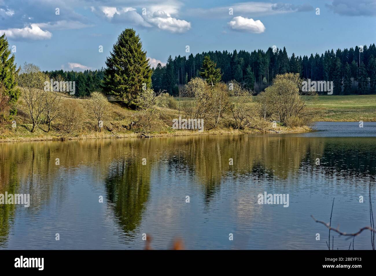 Buntenbocker Teiche,Oberharzer Wasserregal Stock Photo Alamy