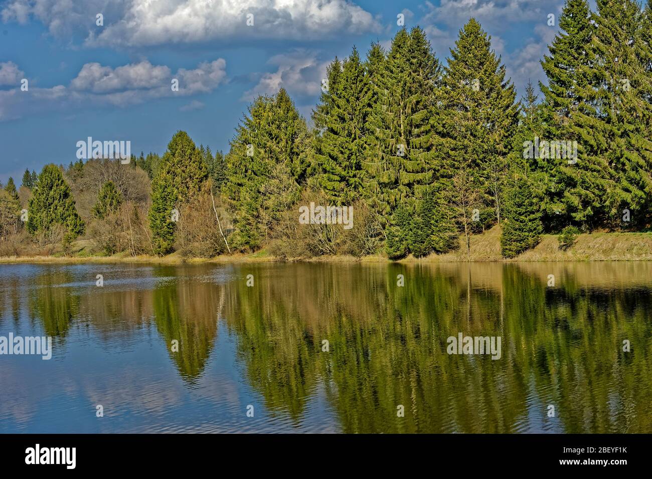 Buntenbocker Teiche,Oberharzer Wasserregal Stock Photo Alamy