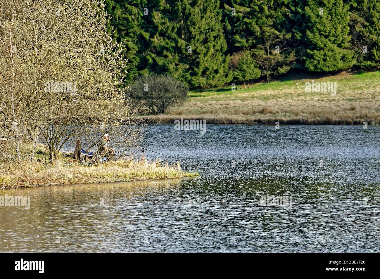 Buntenbocker Teiche,Oberharzer Wasserregal Stock Photo Alamy