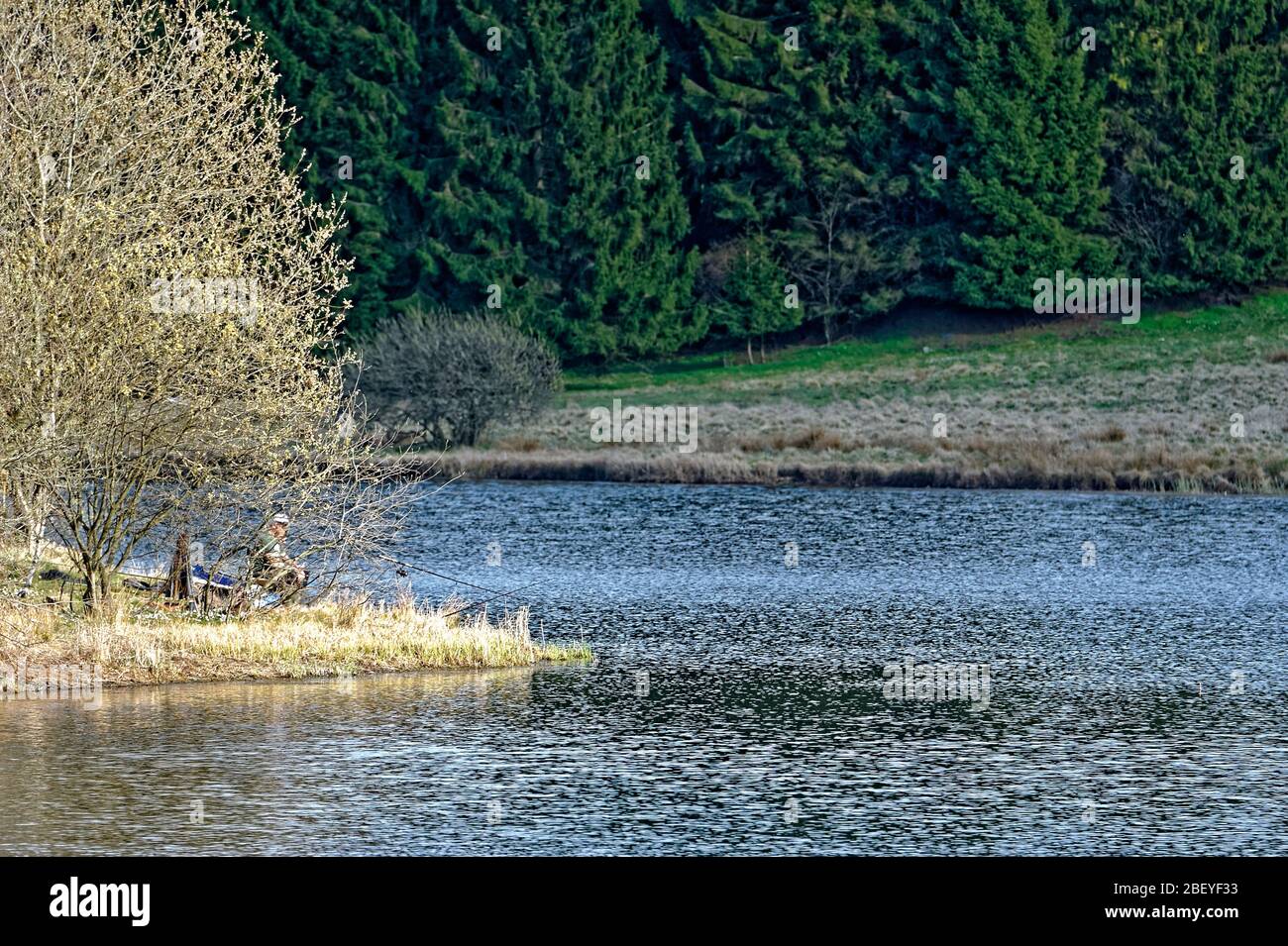 Buntenbocker Teiche,Oberharzer Wasserregal Stock Photo Alamy
