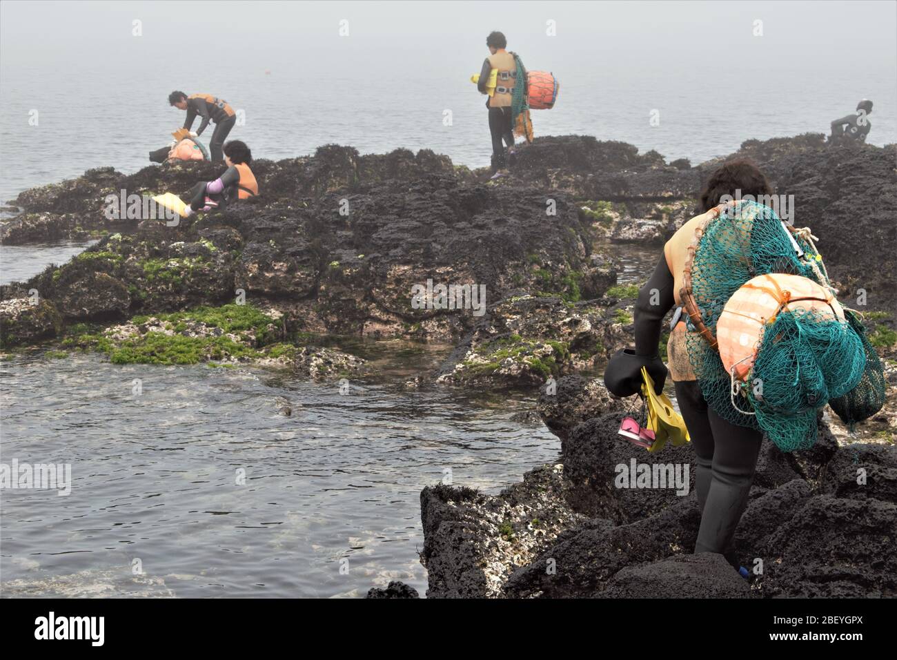 Haenyeo, female divers in the Korean province of Jeju, on their way to work Stock Photo