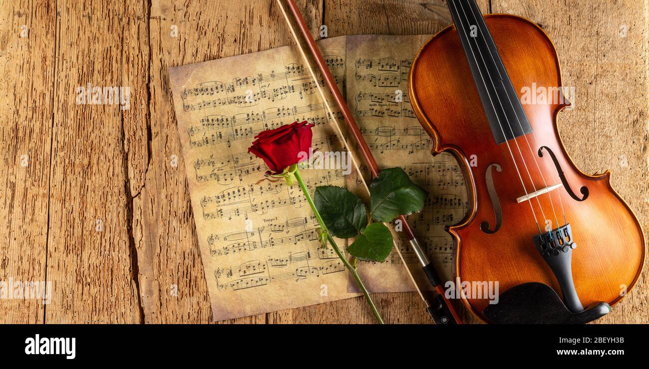 classic retro violin music string instrumt on old music note sheet paper with red rose flower on old oak wood wooden panorama copy space background. c Stock Photo
