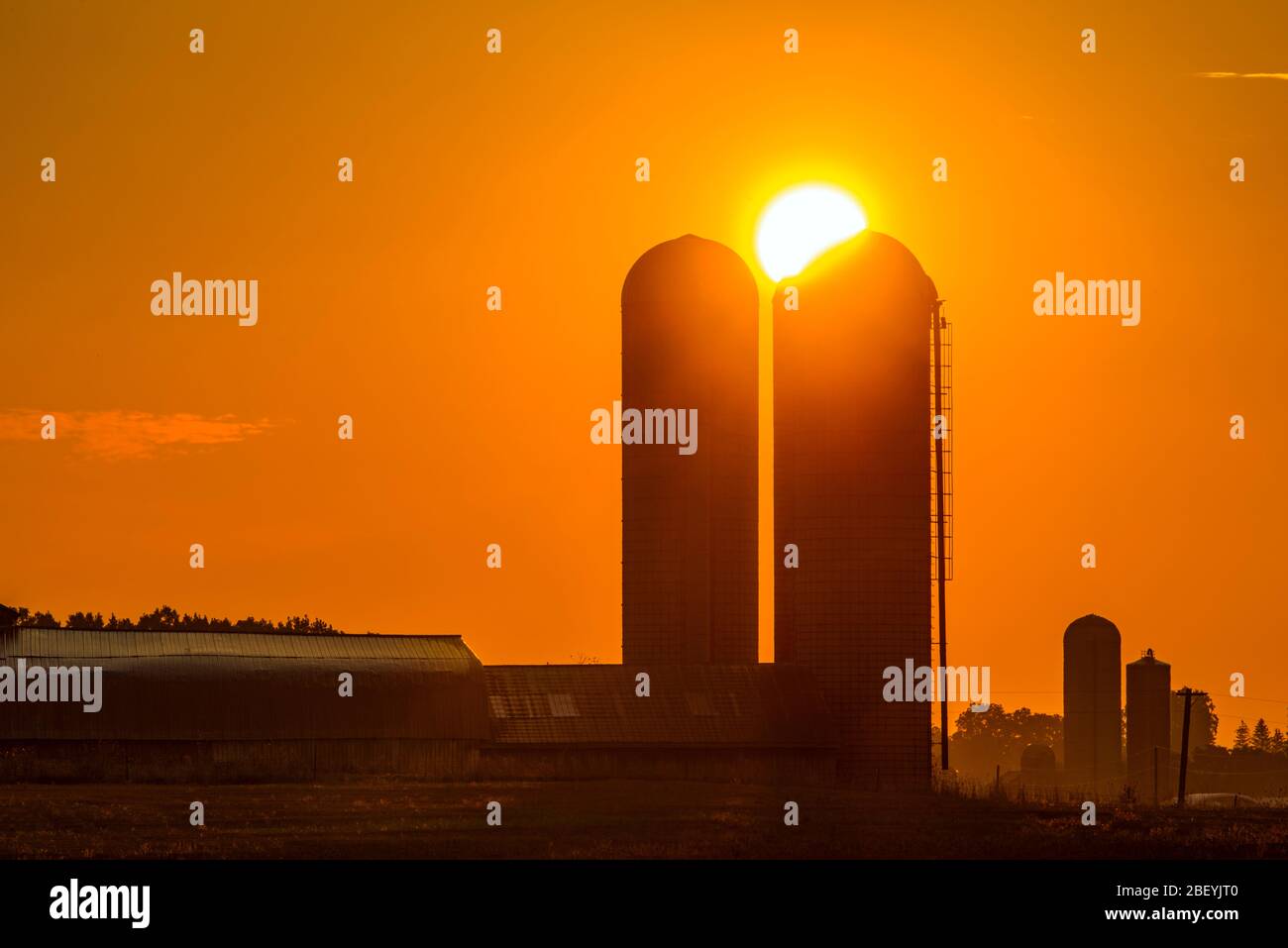 Farm buildings with silos at sunrise, Wonderland Road, near London, Ontario, Canada Stock Photo