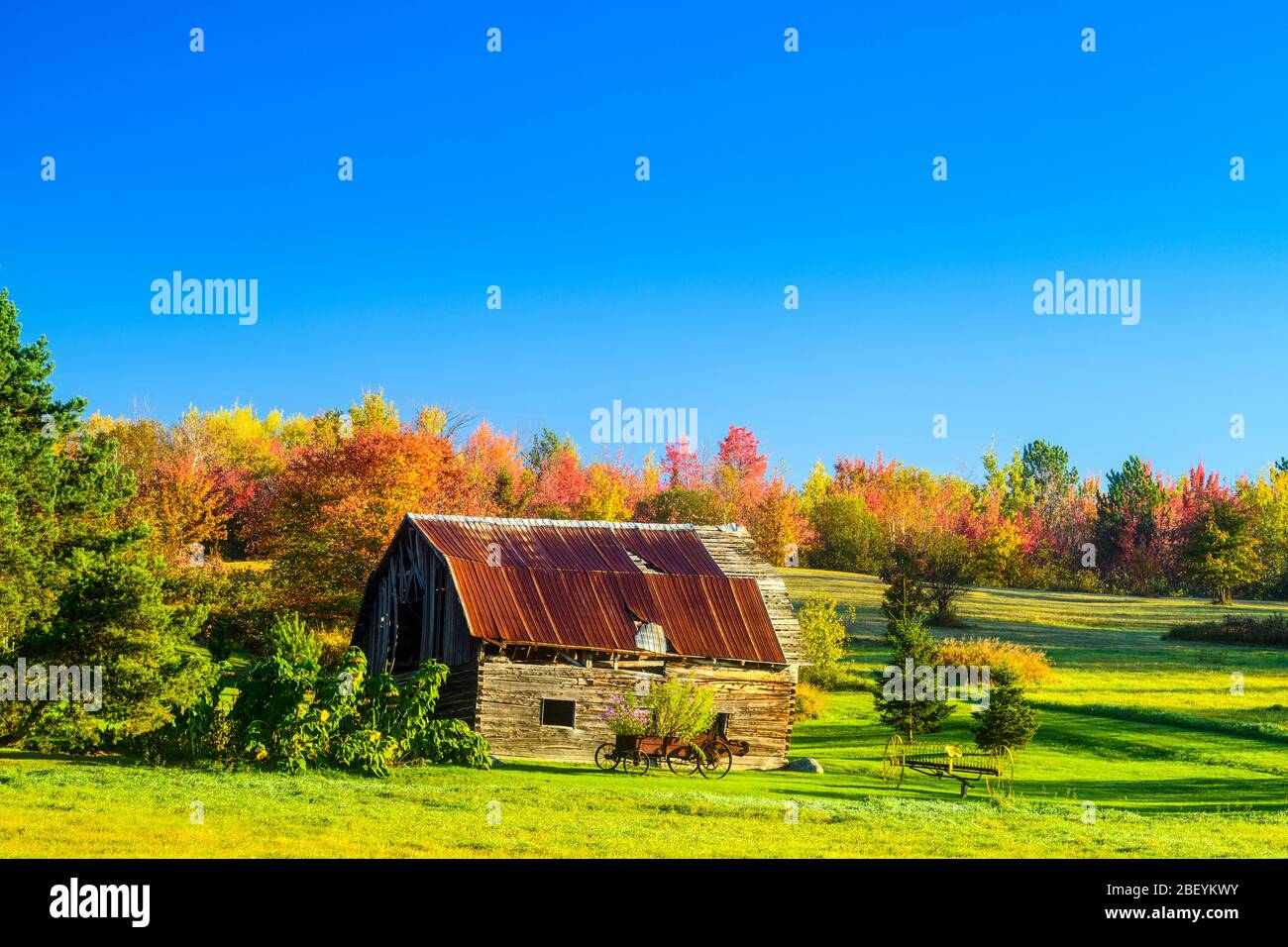 Autumn colour and an old barn, Greater Sudbury, Ontario, Canada Stock Photo