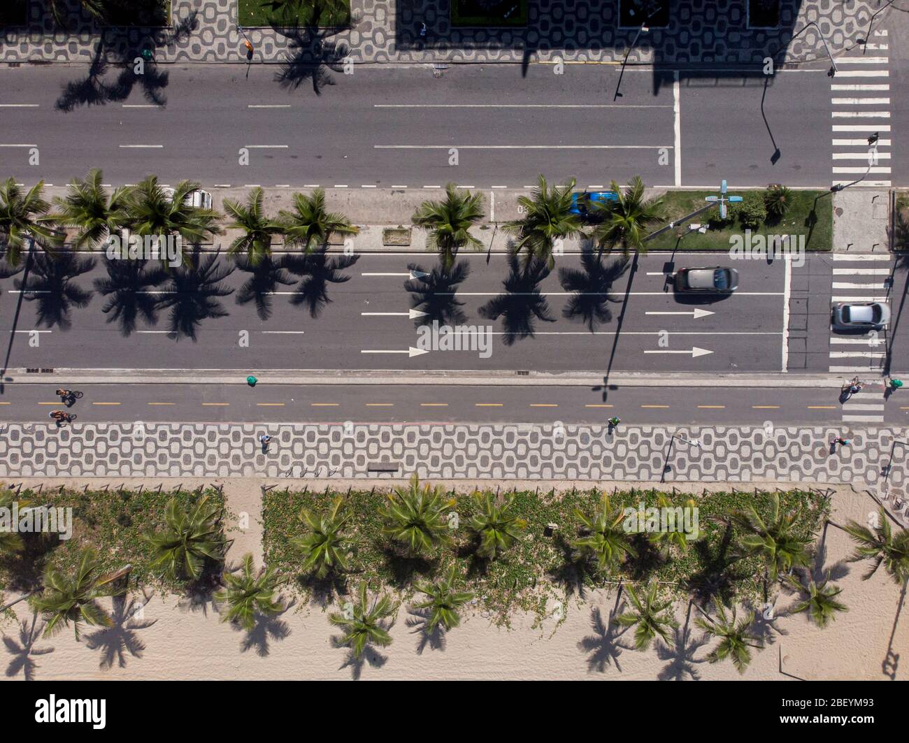 Top down aerial view of Ipanema boulevard with cars passing on the avenue flanked by palm trees and pedestrian crossing with people biking and walking Stock Photo