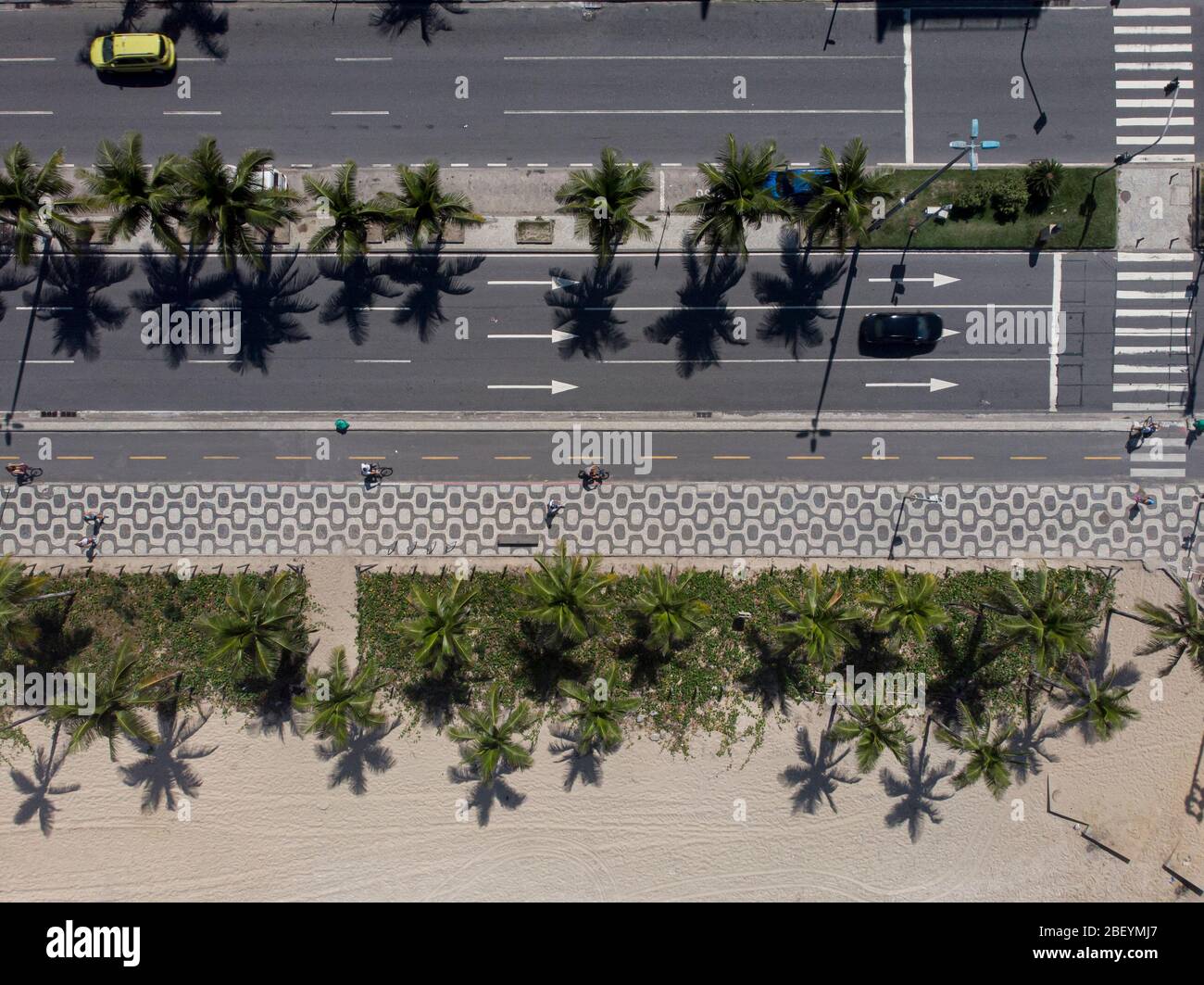 Top down aerial view of Ipanema boulevard with cars passing on the avenue flanked by palm trees and pedestrian crossing with people biking and walking Stock Photo