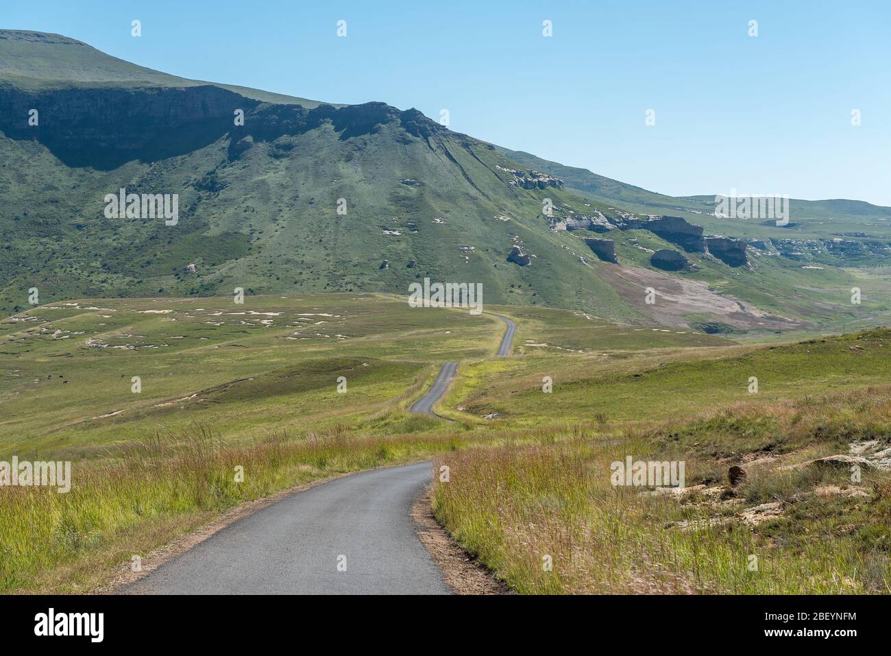 A view from the Blesbok Loop in Golden Gate. Black wildebeest are visible to the left Stock Photo