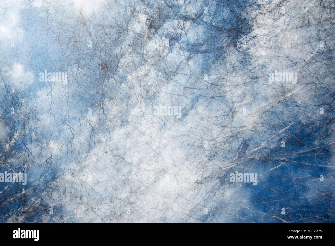 In-camera multi exposure of clouds, sky and tree branches to create a pattern and a mood, Stock Photo