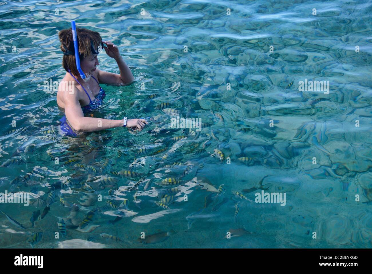Snorkeling in Caleta Buena, Playa Giron, Cuba Stock Photo