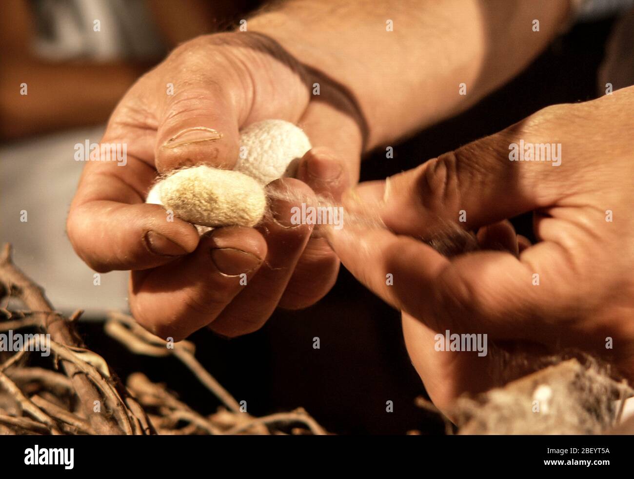 Silk processing hi-res stock photography and images - Alamy