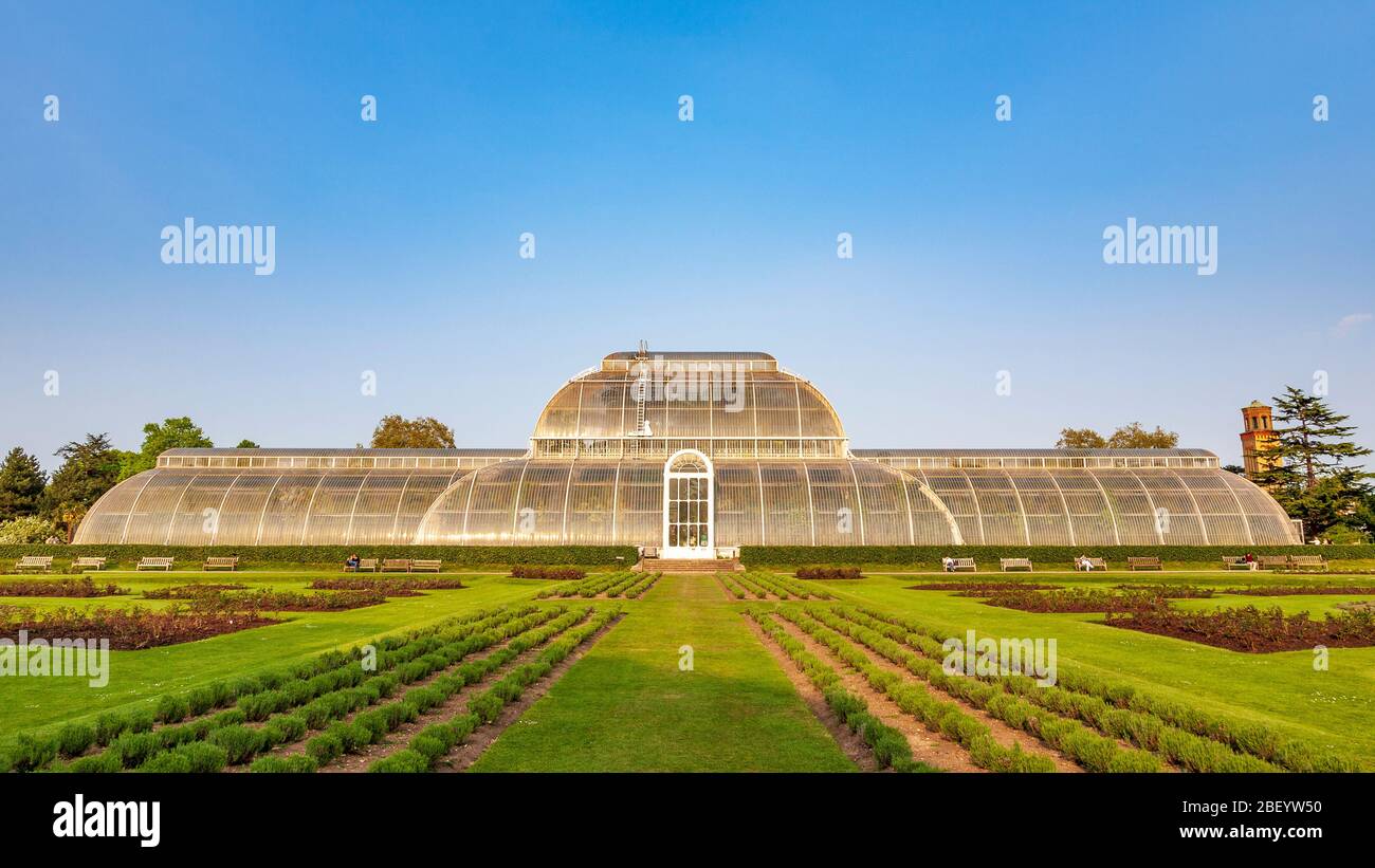 The Victorian Palm House at Kew Gardens, London, England Stock Photo