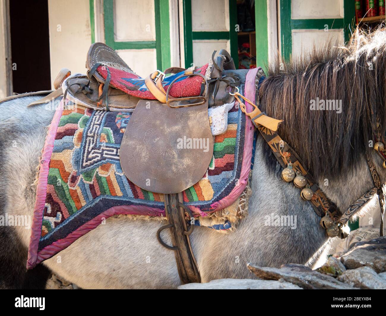 An isolated view of a saddle and saddle blanket on a horse in a village