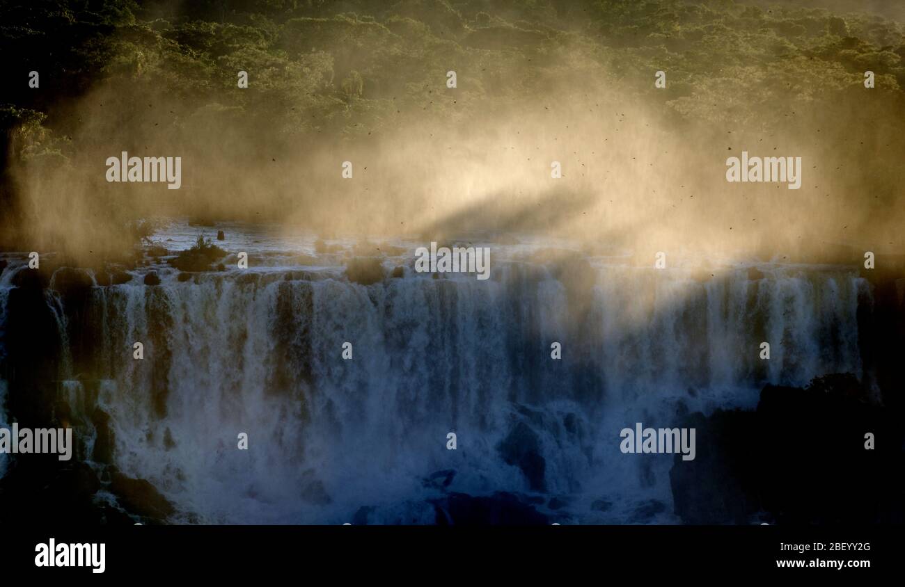 Evening sun causing beams of light through the mist at Iguacu