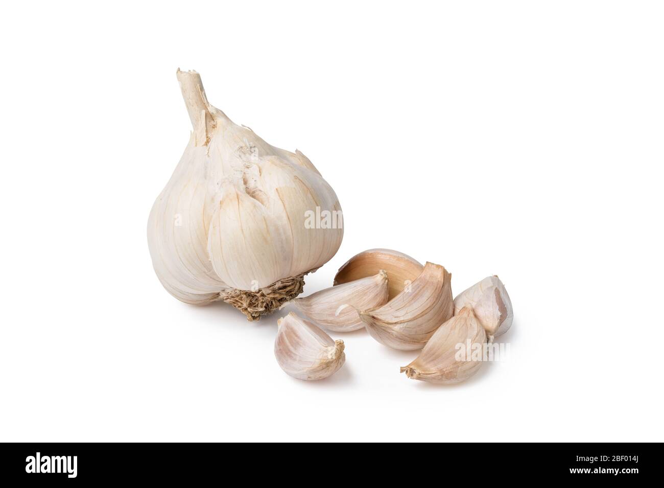 garlic isolated include clipping path on white background Stock Photo