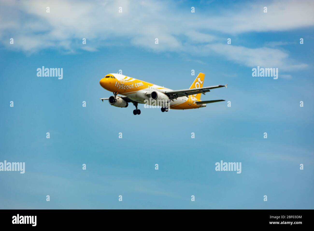 CHANGI SINGAPORE SCOOT Airline Airplane landing at Changi