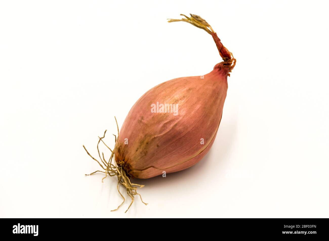 Vegetables: a shallot isolated on a white background Stock Photo