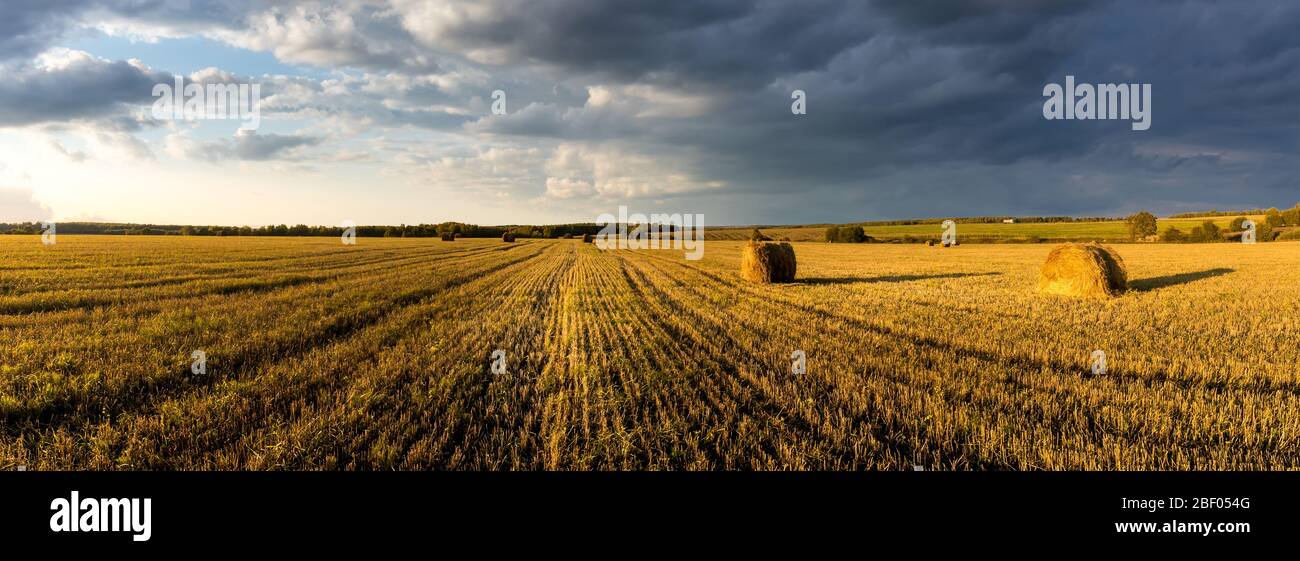 Scene with haystacks on the field in autumn sunny day. Rural landscape ...