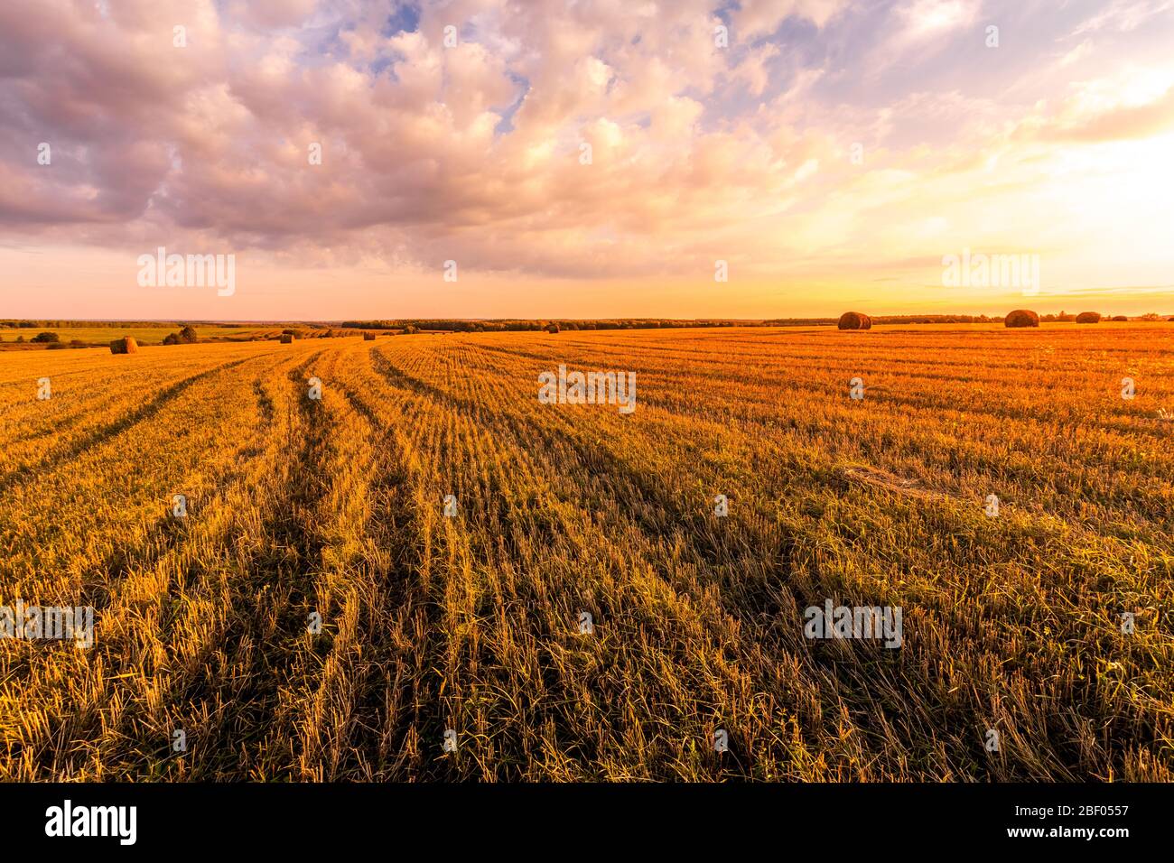 Scene of sunset on the field with haystacks in Autumn season. Rural ...