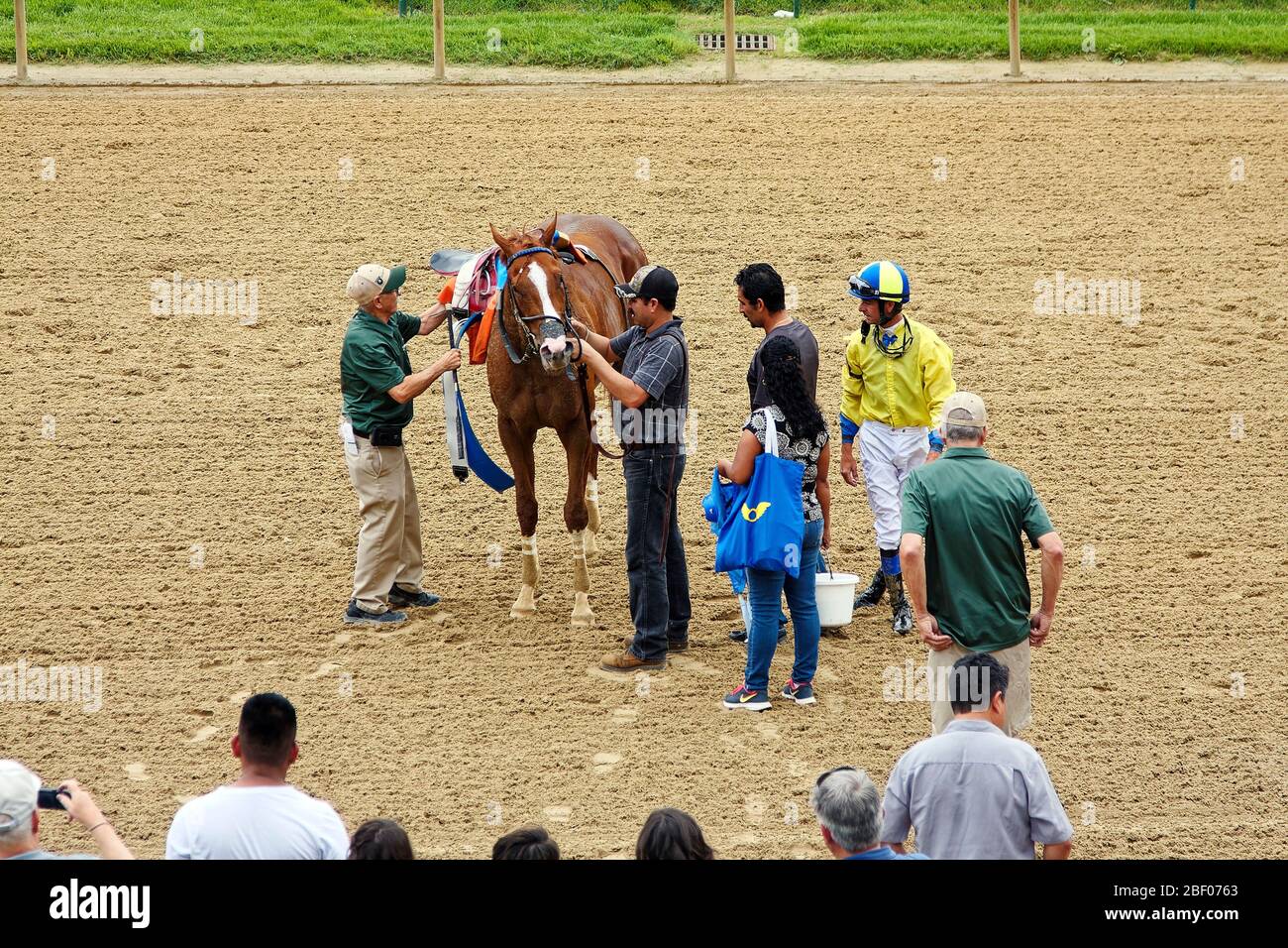 postrace activity, men removing saddle from horse, jockey wearing