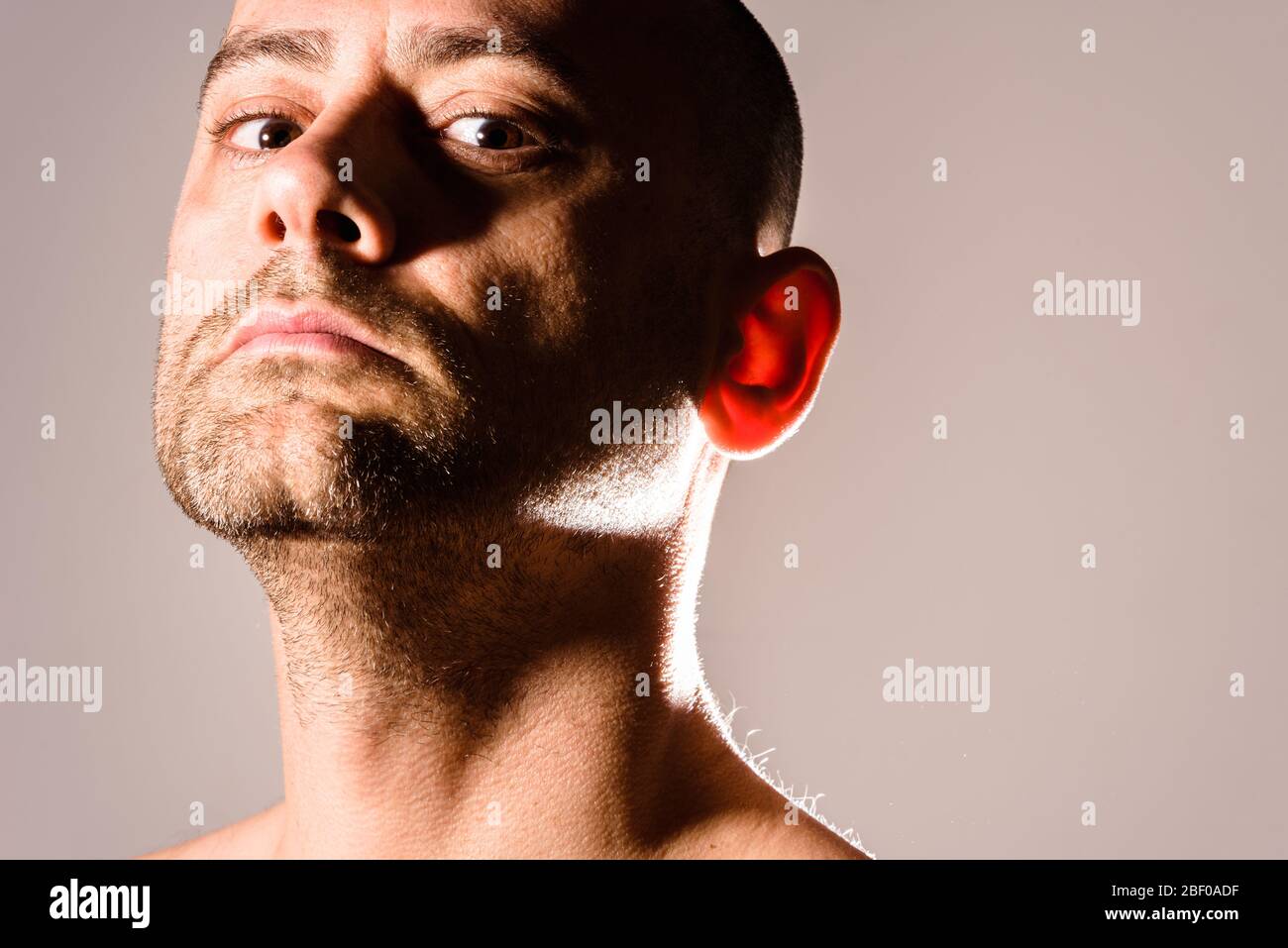 Haughty expression hi-res stock photography and images - Alamy