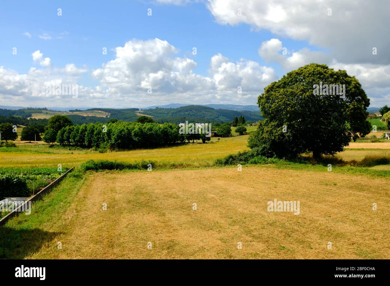 Peaceful plains, camino de santiago, Spain. Stock Photo