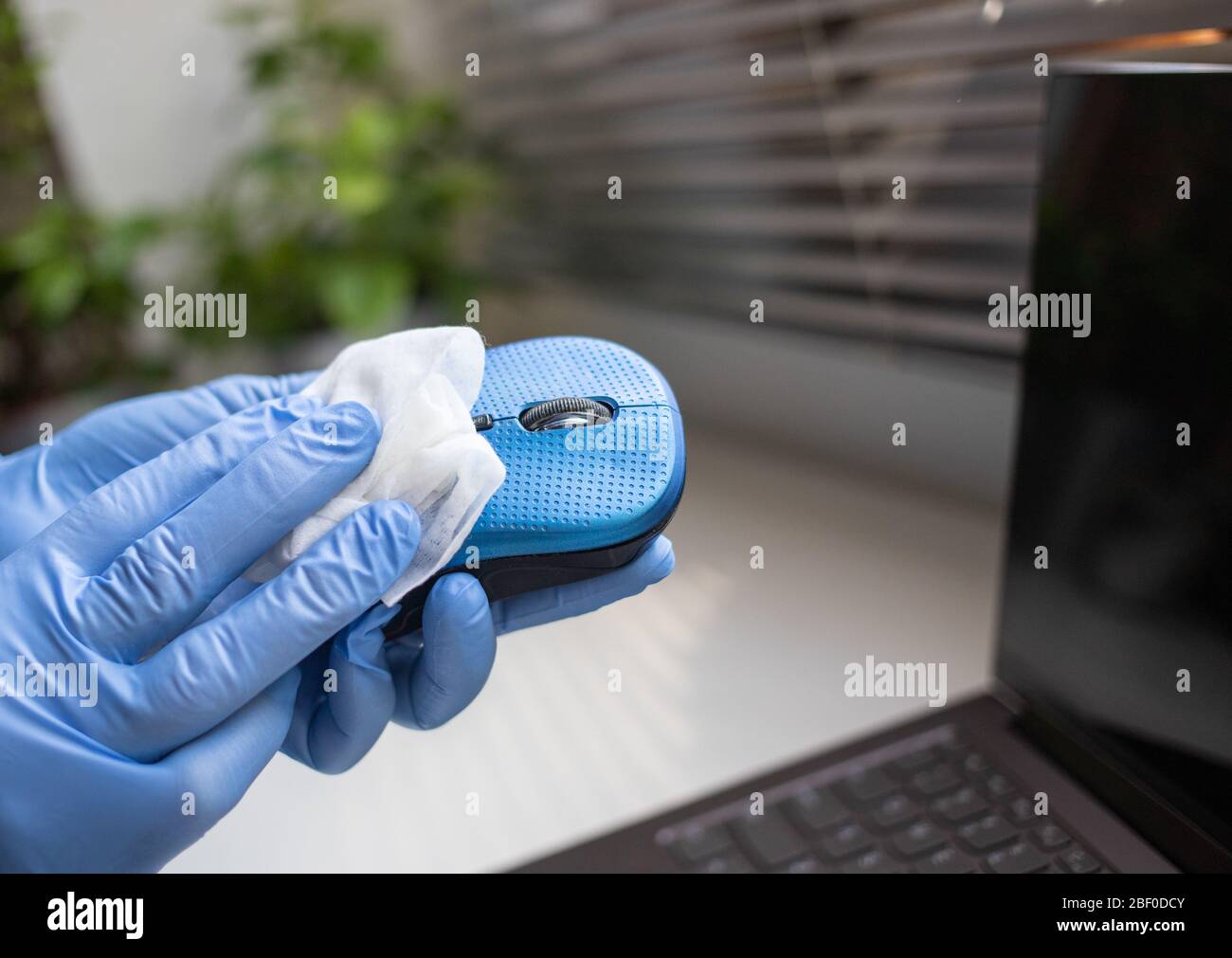 Office sanitizing wipe wiping mouse and mousepad with disinfecting wipes. Coronavirus COVID19