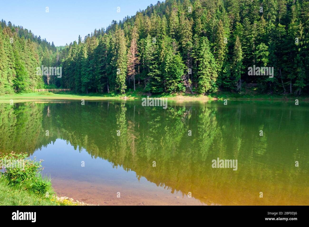 Beautiful scenery surrounded green forest hi-res stock photography and ...