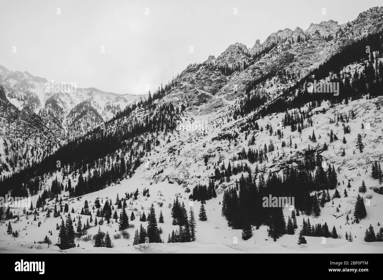Rocky mountain christmas Black and White Stock Photos & Images - Alamy