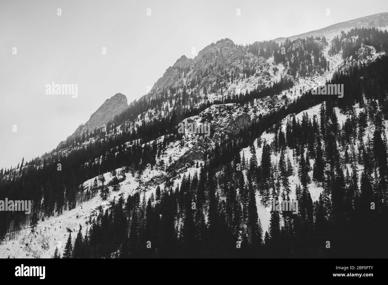 Rocky mountain christmas Black and White Stock Photos & Images - Alamy