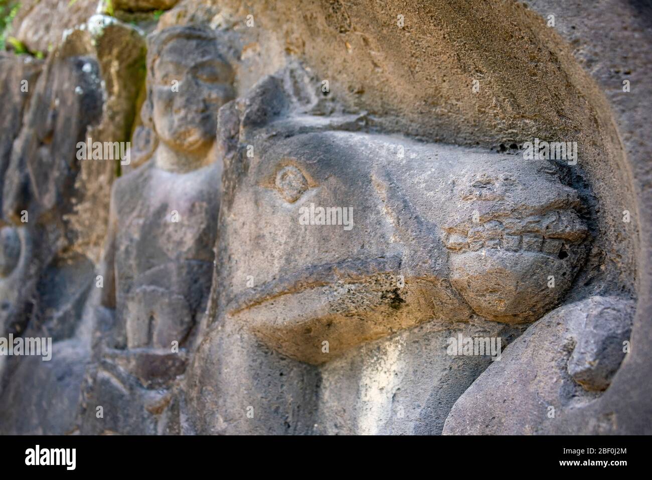 Horizontal close up view of a horse at the Yeh Pulu Relief in Bali, Indonesia. Stock Photo
