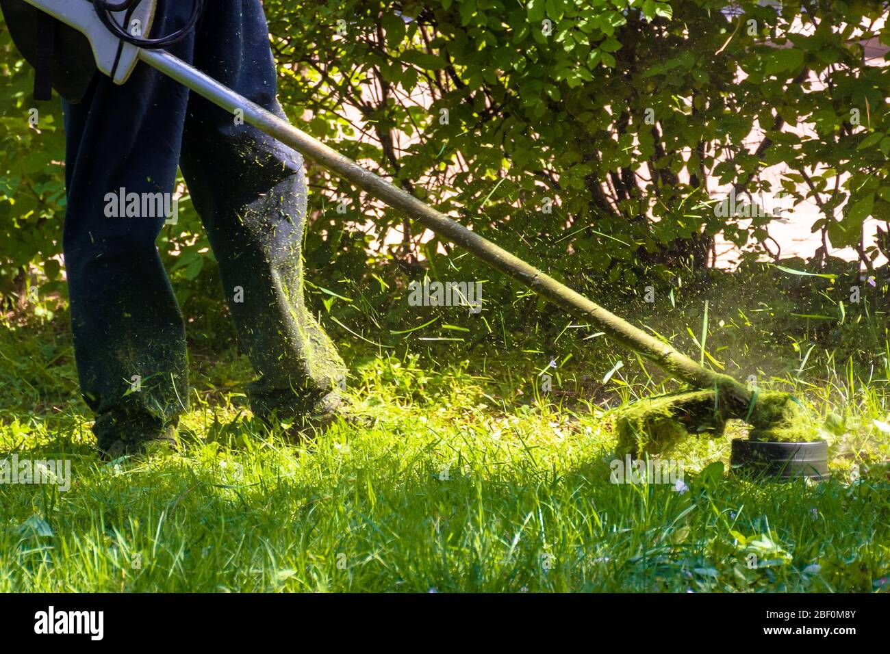 lawn care maintenance. professional grass cutting in the yard Stock Photo