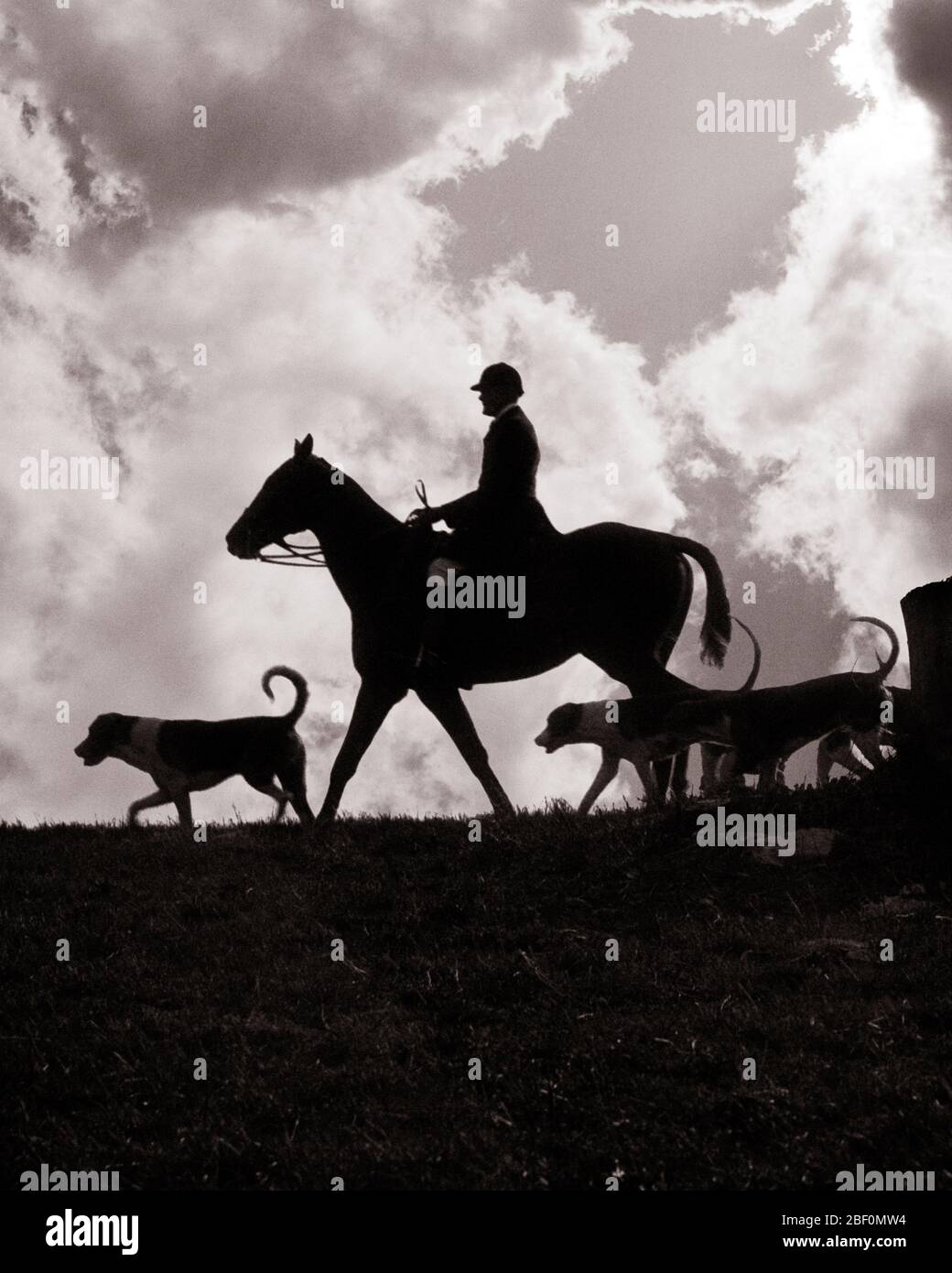 1930s SILHOUETTE OF MASTER OF HOUNDS ON HORSEBACK WITH DOGS FOXHOUNDS LEADING THE FOXHUNT - f739 HAR001 HARS MALES RISK FOX ATHLETIC ENTERTAINMENT SILHOUETTES TRANSPORTATION LEADING B&W OUTLINE CLOUDS SKILL ACTIVITY HORSEBACK OCCUPATION SKILLS MAMMALS ADVENTURE SILHOUETTED CANINES DRAMATIC HOUNDS RECREATION MASTER OCCUPATIONS UPSCALE POOCH CRUEL CONCEPTUAL AFFLUENT CONTROVERSIAL STYLISH FOX HUNT FOX HUNTING FOXHOUNDS TRAINED CANINE CHASING MAMMAL RED FOX WELL-TO-DO BLACK AND WHITE HAR001 KILLING OLD FASHIONED TRACKING Stock Photo