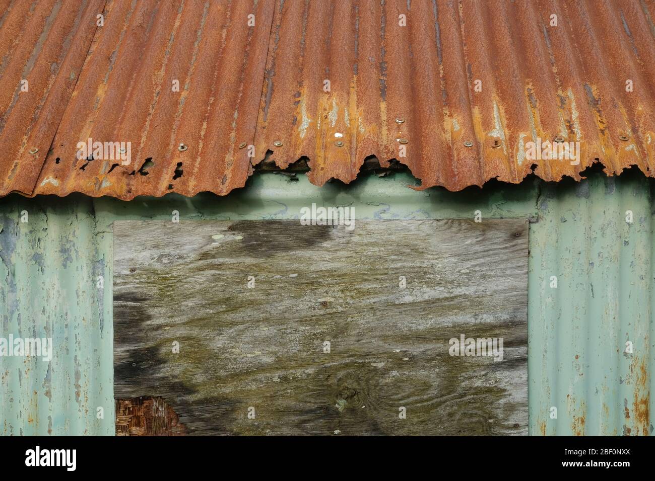 rusty corrugated-iron roof and wall of a boarded-up old cabin Stock Photo