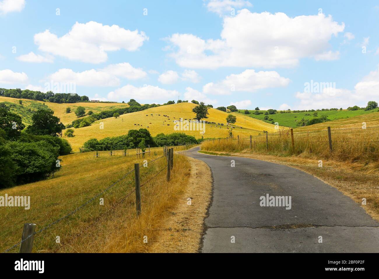 A quiet rural track or lane in open countryside, Somerset, England, UK Stock Photo