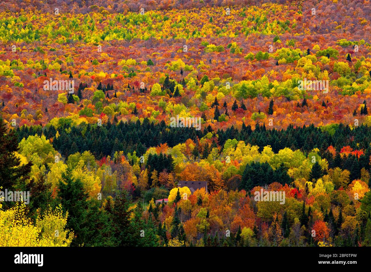 Val racine hires stock photography and images Alamy
