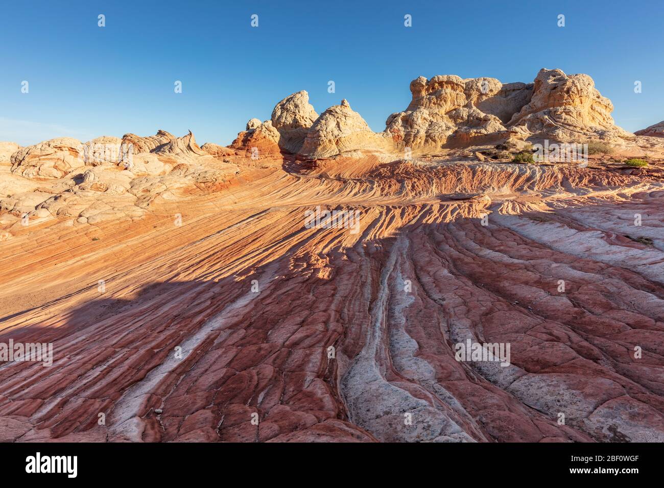 White Pocket in the Vermilion Cliffs National Monument Stock Photo