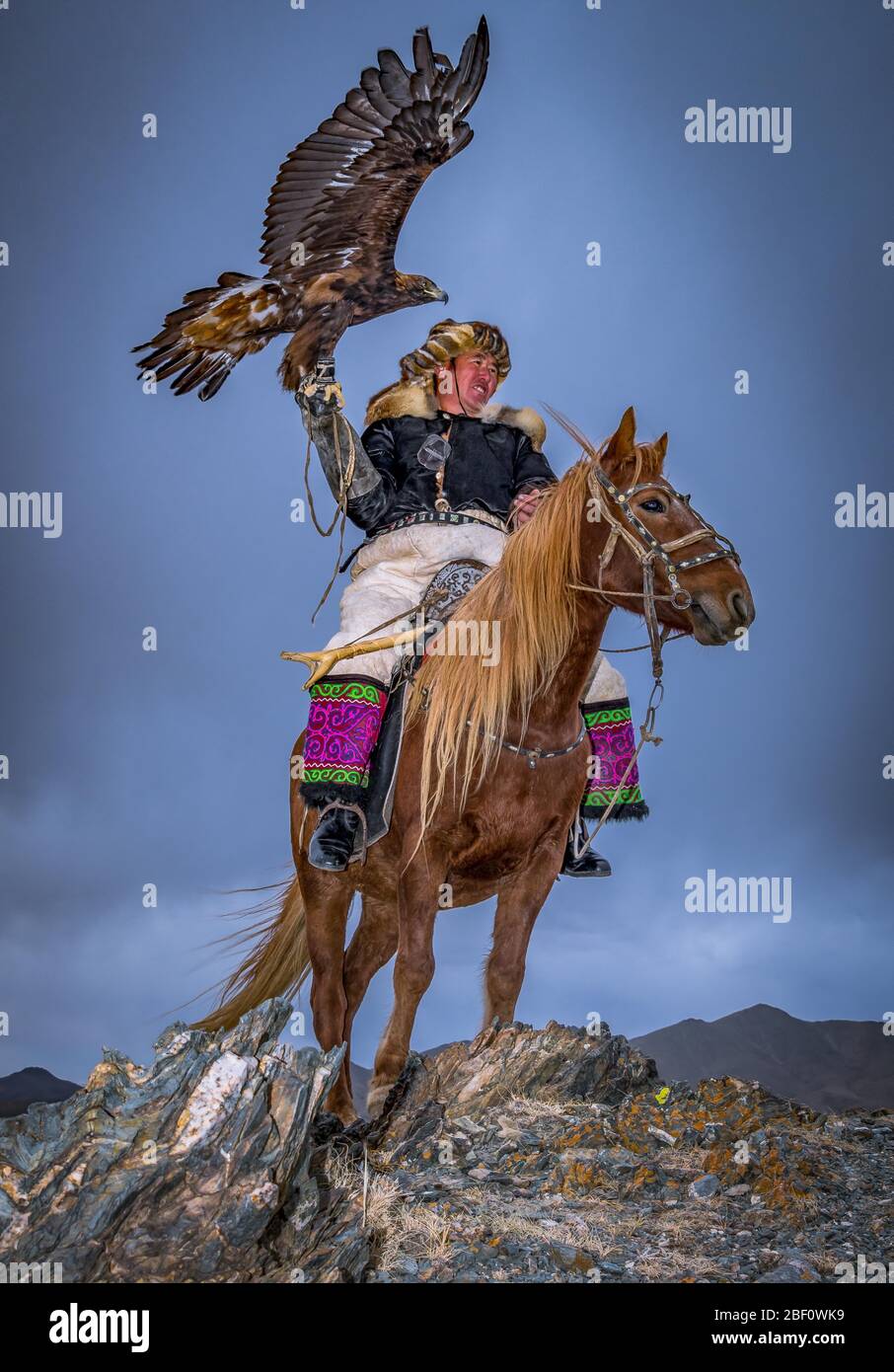 Mongolian Eagle hunter, Bajan-Oelgii province, Mongolia Stock Photo