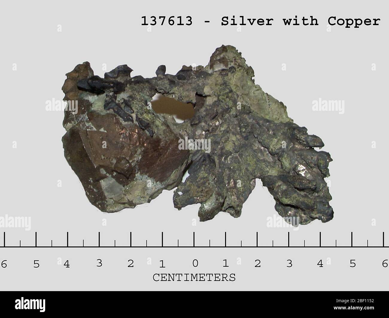 Silver currency specimen hi-res stock photography and images - Alamy