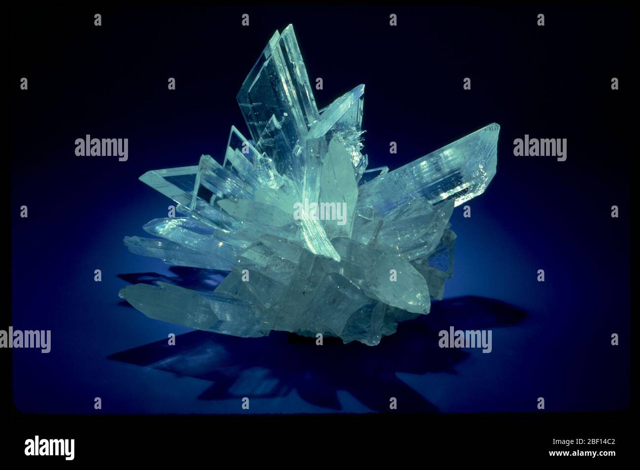 Photograph of clear gypsum crystals (148357) from the National Mineral ...