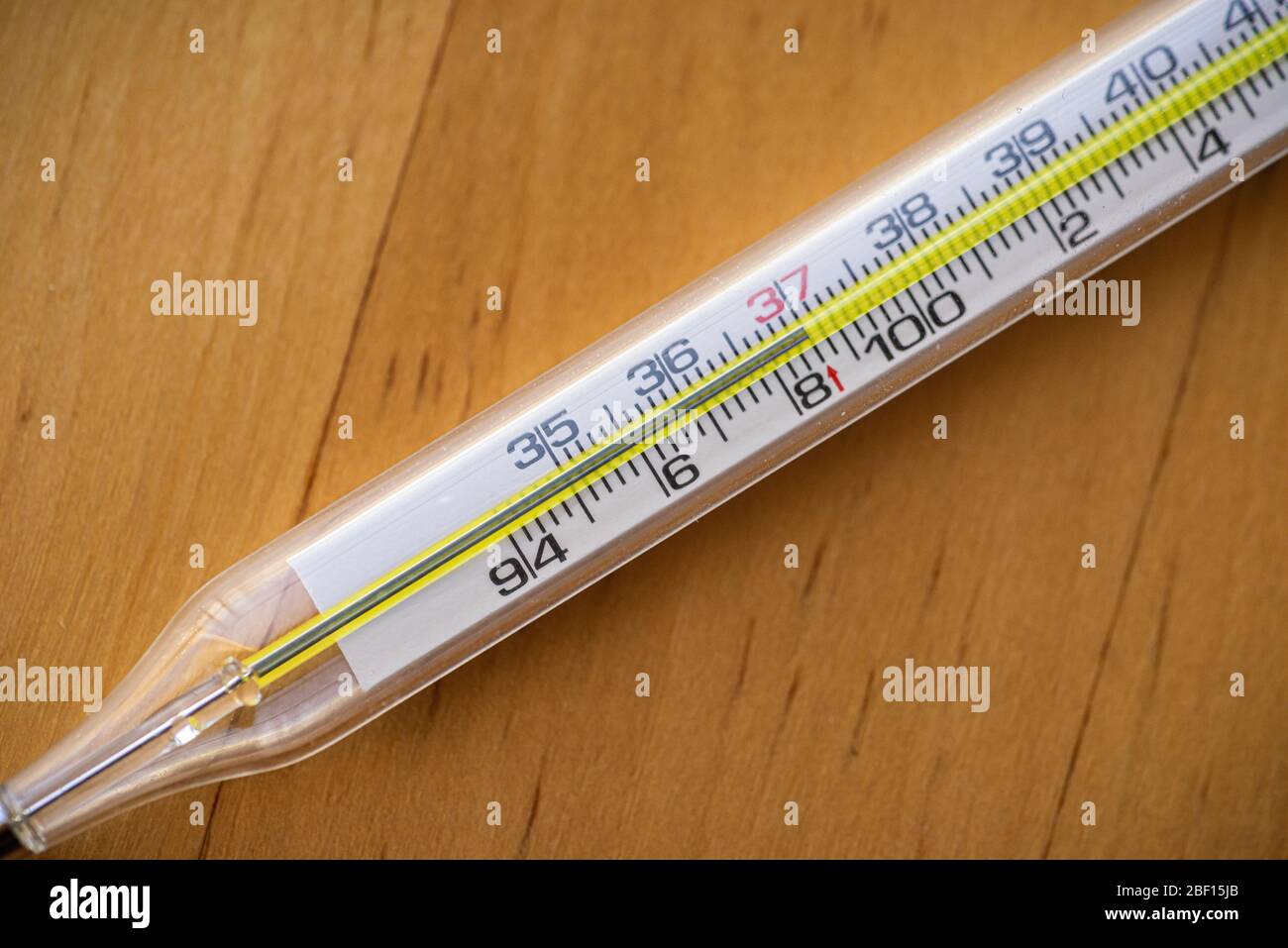 Incubator thermometer on panel Celsius / Fahrenheit