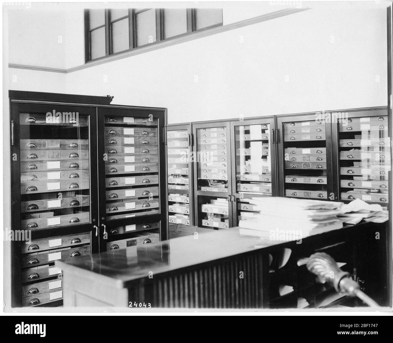 United States National Museum Marine Invertebrates. Also known as 24043Smithsonian Institution Archives, Record Unit 79, National Museum Building Construction Records, Image No. SIA2009-1976Smithsonian Institution Archives Capital Gallery, Suite 3000, MRC 507; 600 Maryland Avenue, SW; Washington, DC 20024-2520 Stock Photo