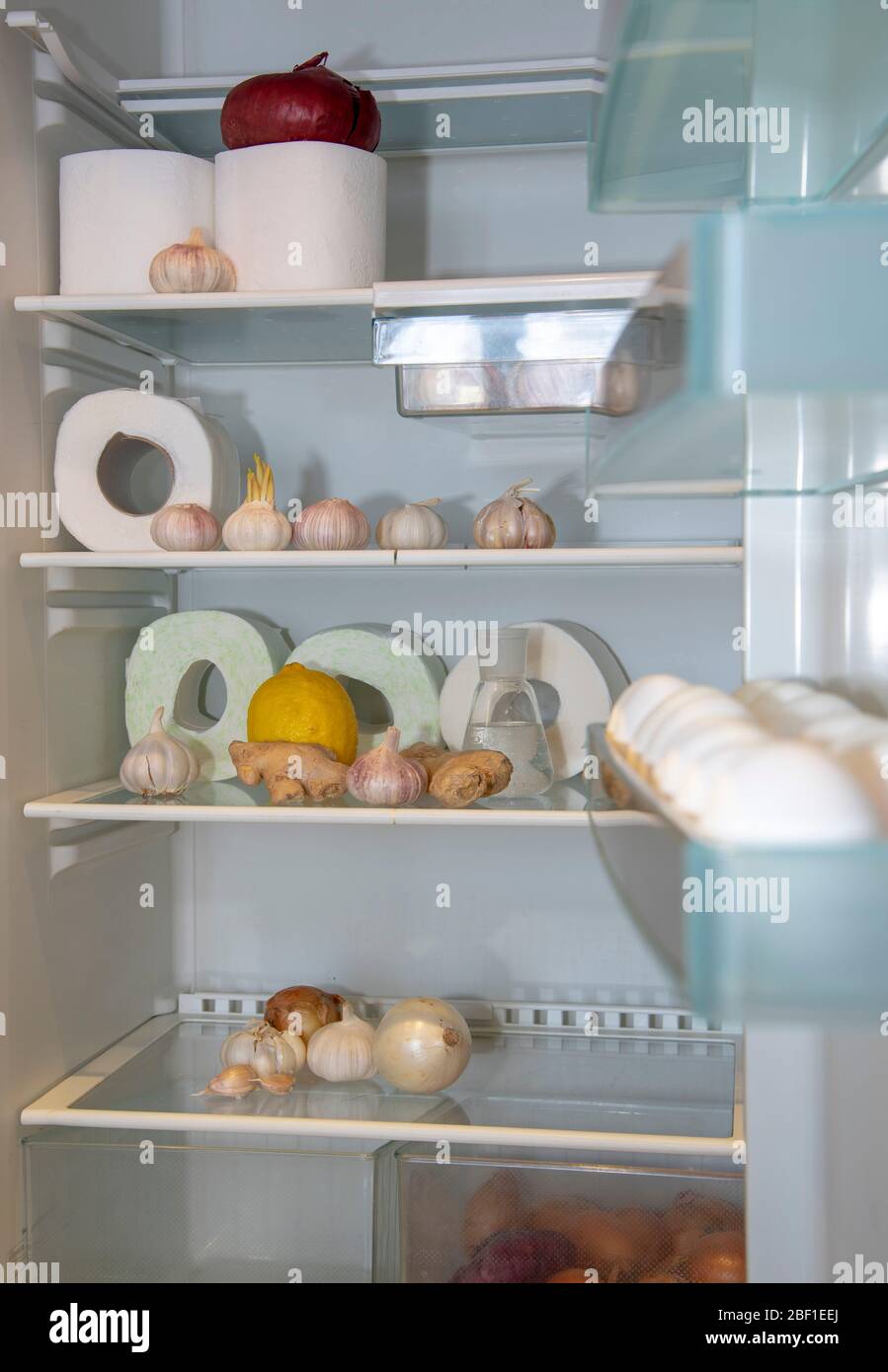 There are rolls of toilet paper, garlic , ginger, and eggs in the open refrigerator.  Stock Photo