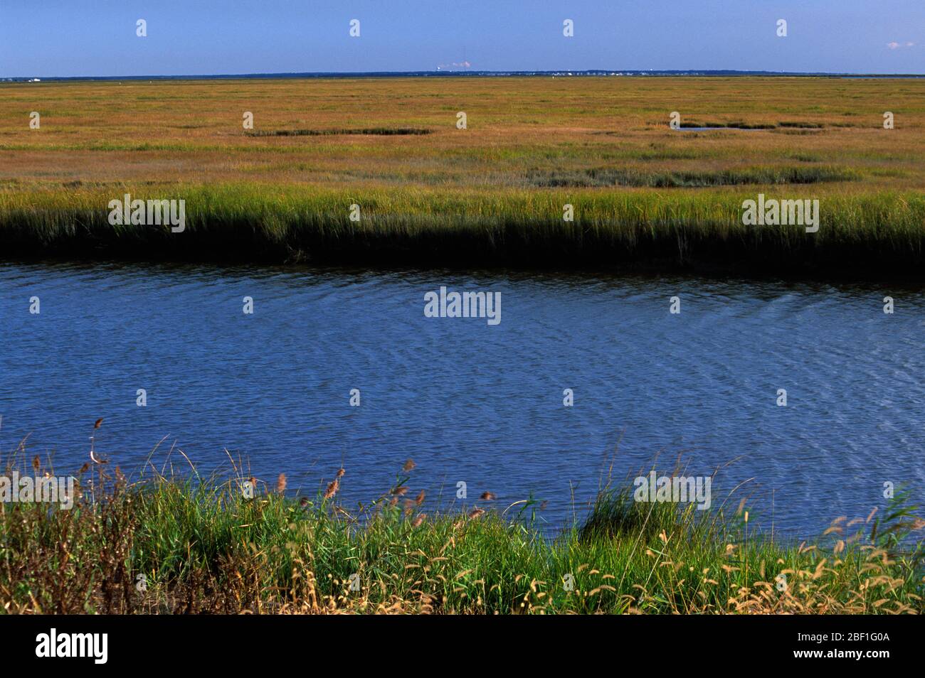 Estuary channel, Edwin Forsythe National Wildlife Refuge, New Jersey Stock Photo